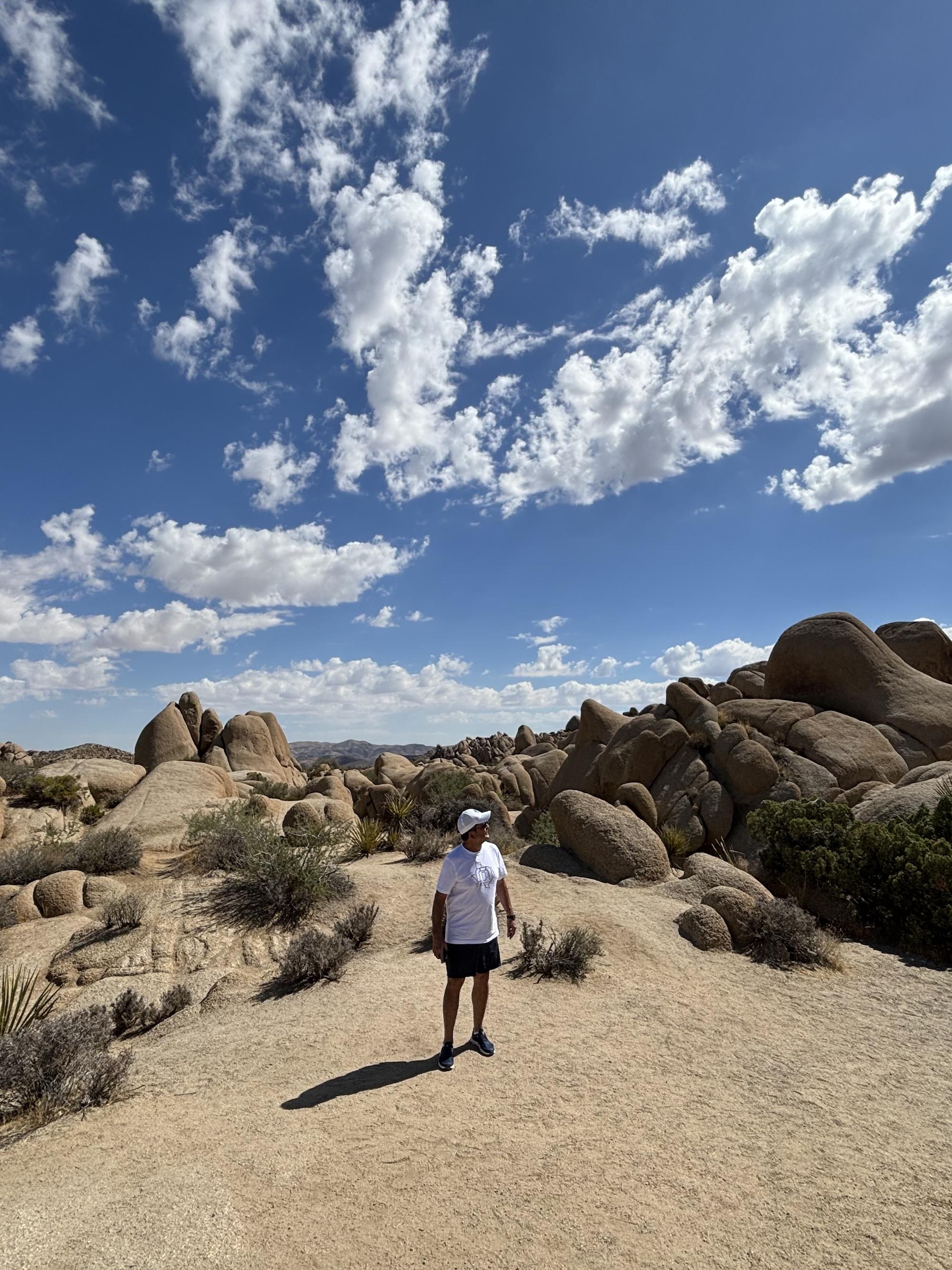 My dad stands in the foreground, sand at his feet. The landscape and sky of Joshua Tree is behind him -- the plants, rocks, and sky.